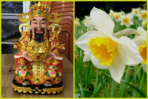 Bàn thờ Thần Tài cuối năm nên đặt 5 loại hoa này, nghe tên đã thấy phúc lộc, giàu có - 4 - kythuatcanhtac.com