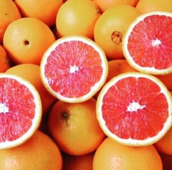 Cam cara ruột đỏ – Cách trồng và chăm sóc cam cara ruột đỏ 5 - kythuatcanhtac.com