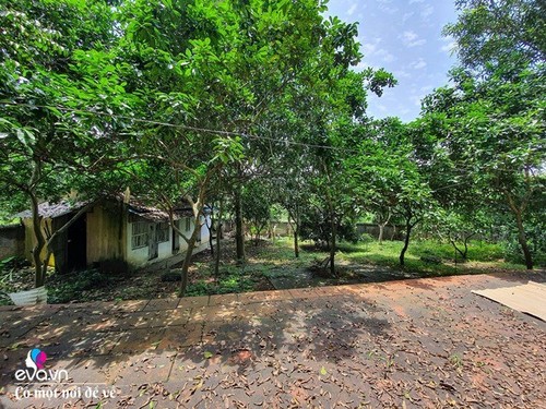 Tạm rời thủ đô, ông bố về quê làm nhà gỗ tìm bình yên ở nơi cách Hà Nội 37km - 3 - kythuatcanhtac.com