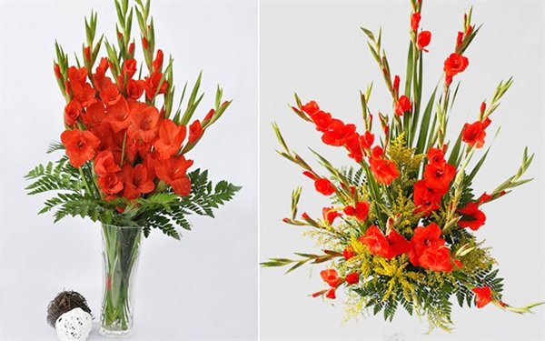 Cách cắm hoa lay ơn để bàn thờ đẹp và tươi lâu ngày Tết - 12 - kythuatcanhtac.com