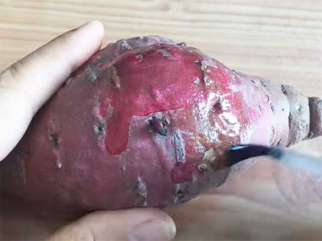 Quét sơn móng tay lên của khoai lang khi trồng thủy sinh - kythuatcanhtac.com