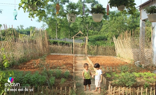 Cô gái 27 tuổi bỏ phố lên vùng sâu cất nhà 20m2, làm vườn, trồng hoa sống an yên - 9 - kythuatcanhtac.com