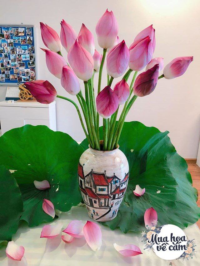 Muôn kiểu cắm hoa sen đẹp hút hồn của chị em Việt, nhìn là muốn amp;#34;rướcamp;#34; ngay 1 bình - 11 - kythuatcanhtac.com