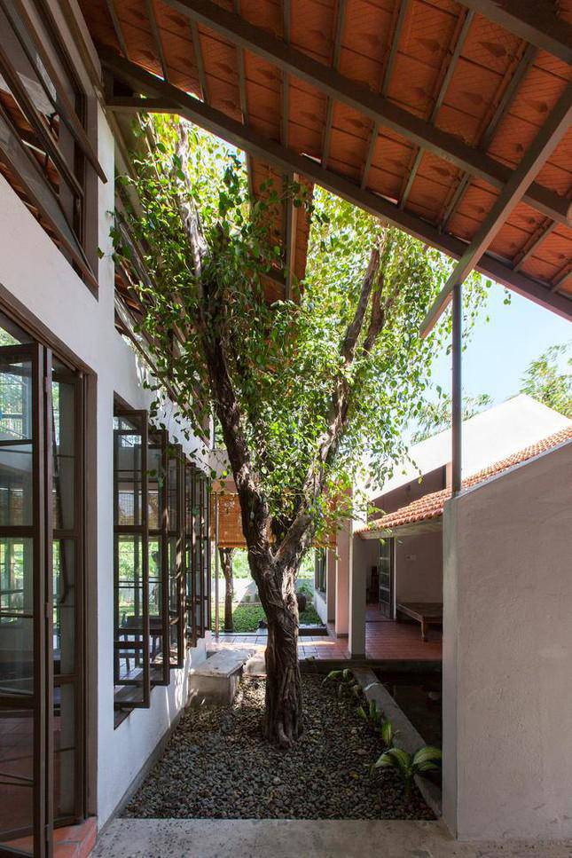 Chiêm ngưỡng nhà mái ngói lấy cây xanh làm amp;#34;xương sốngamp;#34; đạt giải Vàng kiến trúc năm 2021 - 5 - kythuatcanhtac.com