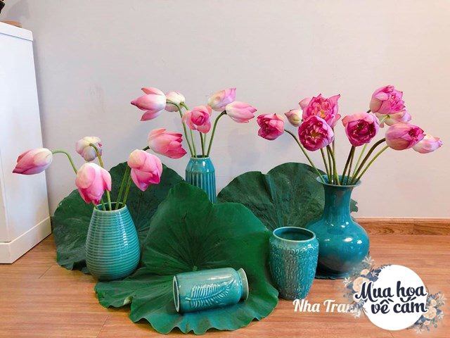 Muôn kiểu cắm hoa sen đẹp hút hồn của chị em Việt, nhìn là muốn amp;#34;rướcamp;#34; ngay 1 bình - 8 - kythuatcanhtac.com