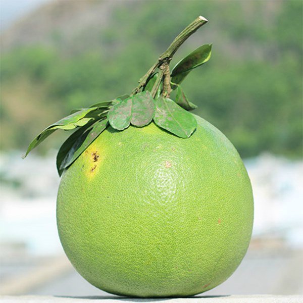 8 loại trái cây mang ý nghĩa may mắn, đặt trên bàn thờ để phúc lộc đầy nhà - 1 - kythuatcanhtac.com