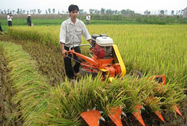 Giá máy cắt lúa mini cầm tay. Giá máy cắt lúa (gặt đập liên hợp) Kubota - kythuatcanhtac.com