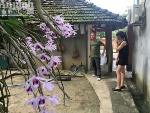 Vườn lan 'huyền thoại' có một không hai ở Tuyên Quang - kythuatcanhtac.com