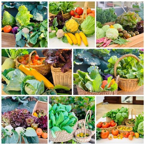 Mẹ Tây Bắc hé lộ cách làm sân thượng trồng cả trăm loại rau, hiếm khi phải ra chợ mua - 12 - kythuatcanhtac.com