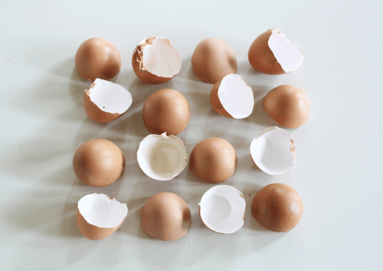 Ăn trứng đừng bỏ vỏ! Có tới 21 công dụng khiến bạn bất ngờ - 1 - kythuatcanhtac.com