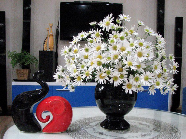 7 loại hoa đẹp hợp để phòng khách, không sớm thì muộn cũng giàu sang - 5 - kythuatcanhtac.com