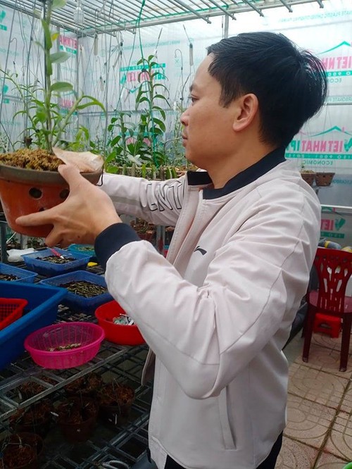 Ông chủ vườn lan 7X Mạnh Hùng và niềm đam mê hoa lan - 4 - kythuatcanhtac.com