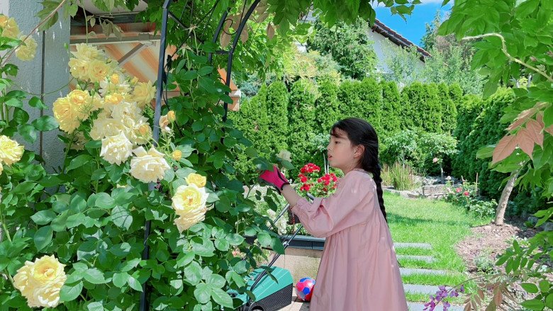 Mẹ Việt trồng đủ loại hoa hồng ở Đức, khu vườn 300m2 đẹp như truyện cổ tích - 4 - kythuatcanhtac.com