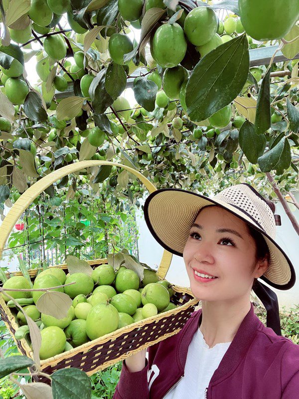 Trồng táo tại gia sai trĩu trịt, mẹ 8X Quảng Ninh có góc sống ảo mãn nhãn - 2 - kythuatcanhtac.com