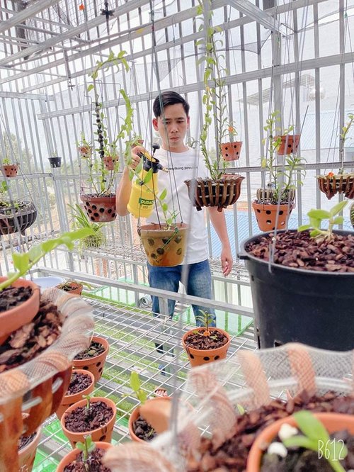 Hành trình theo đuổi đam mê và chinh phục hoa lan của nghệ nhân Nguyễn Tấn Mỹ - 3 - kythuatcanhtac.com