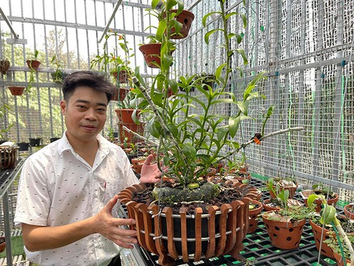 Ông chủ vườn lan 8X Nguyễn Hữu Tân và mơ ước về một vườn lan trăm loài - 2 - kythuatcanhtac.com