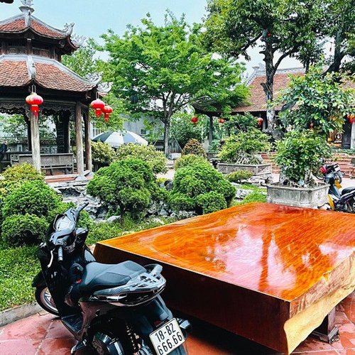 amp;#34;Biệt phủamp;#34; 1.700m2 toàn gỗ quý và dàn cây cảnh tiền tỷ ở Nam Định - 10 - kythuatcanhtac.com