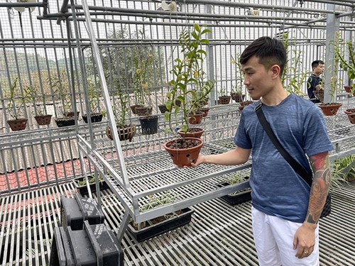 Tạ Quang Bộ chia sẻ kinh nghiệm trồng và chăm sóc lan rừng cho người mới bắt đầu chơi - 3 - kythuatcanhtac.com