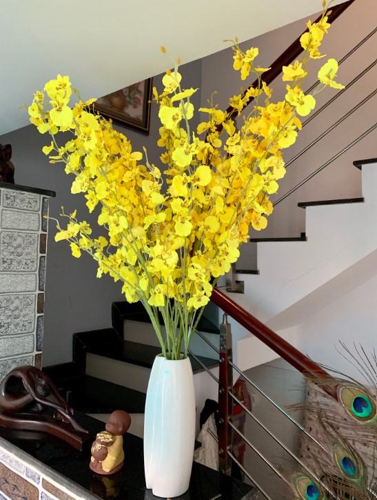 Hoa lan màu vàng - Những ý nghĩa của hoa lan màu vàng có thể bạn chưa biết 10 - kythuatcanhtac.com