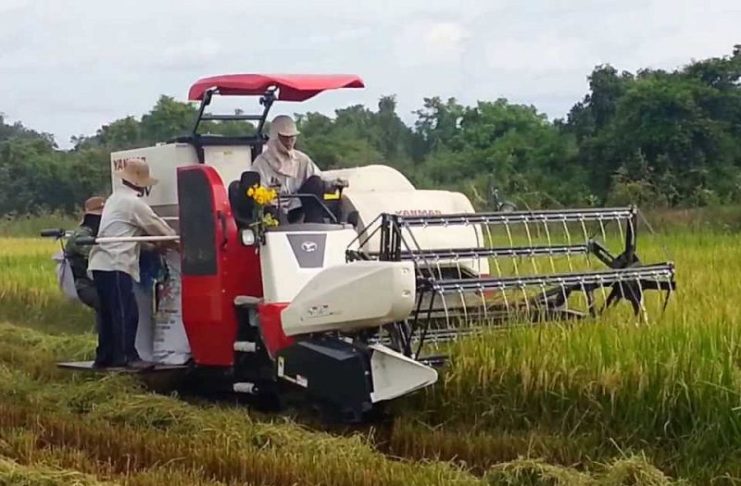Mua bán máy gặt lúa giá bao nhiêu? Giá máy gặt lúa xếp dãy và cầm tay - kythuatcanhtac.com