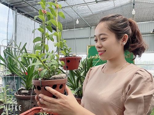 Bà chủ vườn lan trăm loài Thùy Linh chia sẻ bí quyết trồng lan - 4 - kythuatcanhtac.com