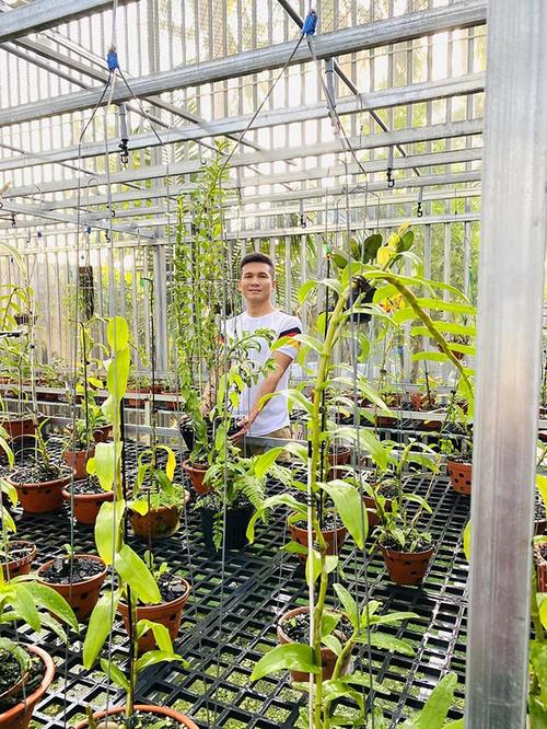 Choáng ngợp trước vườn lan đột biến của chàng trai 8X Tài Trần ở Bình Định - 3 - kythuatcanhtac.com