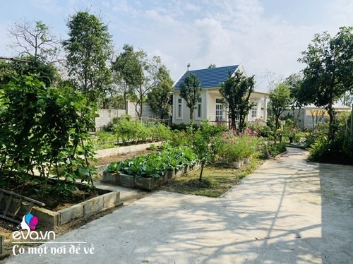 Ông bố Đà Nẵng ra ngoại ô làm nhà vườn tránh dịch, sống yên bình hệt trong phim - 21 - kythuatcanhtac.com