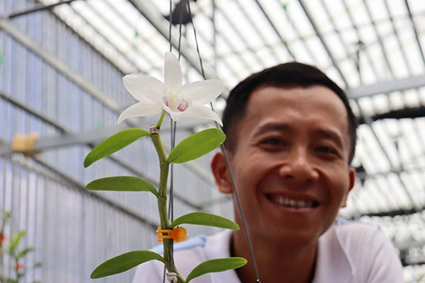 Ông chủ vườn lan Trần Quang Duy chia sẻ về hành trình đam mê loài hoa “vương giả” - 4 - kythuatcanhtac.com