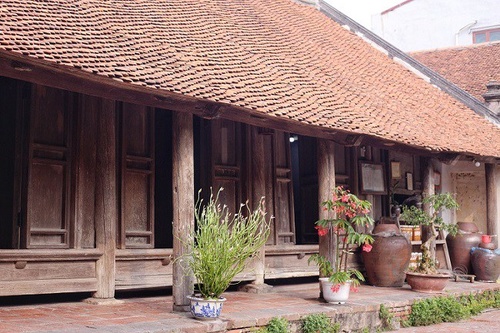 Cận cảnh nhà cổ 300 tuổi trải qua 13 đời “cha truyền con nối” ở ngoại thành Hà Nội - 8 - kythuatcanhtac.com