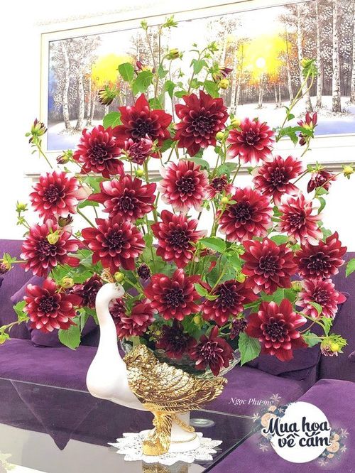Cô giáo Hà Nội gợi ý những mẫu hoa cắm Tết siêu xinh, chắc chắn nhà nào cũng có - 8 - kythuatcanhtac.com