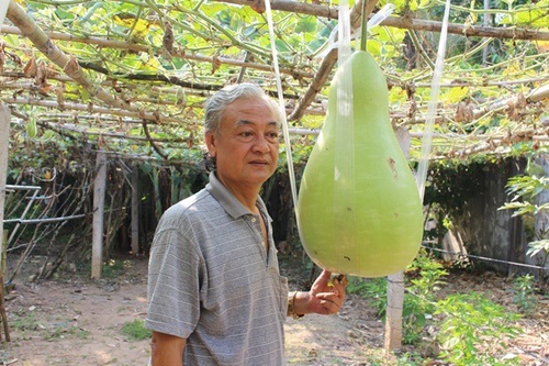 amp;#34;Báu vậtamp;#34; siêu khổng lồ, nặng vài chục kg của nông dân Việt Nam - 9 - kythuatcanhtac.com