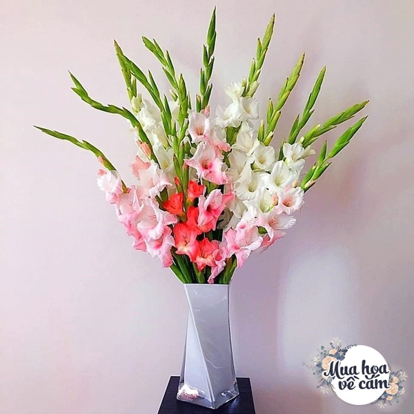 Nhìn hoa nhớ mẹ, 8X Việt ở nước ngoài cắm loại hoa chơi Tết đẹp siêu lòng - 16 - kythuatcanhtac.com
