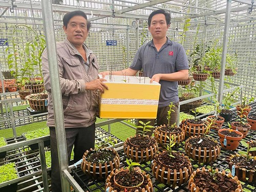 Nghệ nhân Nguyễn Ngọc Vương cùng những chia sẻ hữu ích về bí quyết chăm sóc hoa lan - 1 - kythuatcanhtac.com