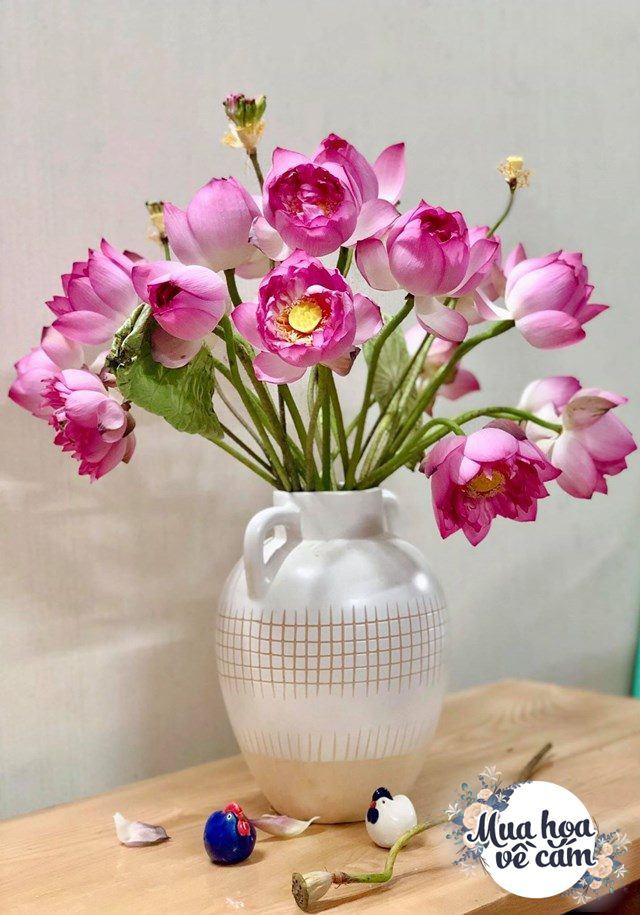 Muôn kiểu cắm hoa sen đẹp hút hồn của chị em Việt, nhìn là muốn amp;#34;rướcamp;#34; ngay 1 bình - 16 - kythuatcanhtac.com