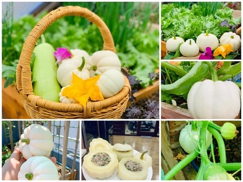 Mẹ Tây Bắc hé lộ cách làm sân thượng trồng cả trăm loại rau, hiếm khi phải ra chợ mua - 3 - kythuatcanhtac.com