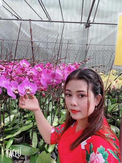Chủ vườn lan Hằng Nguyễn: Từ bỏ nghiệp giáo để thực hiện niềm đam mê với hoa lan - 1 - kythuatcanhtac.com