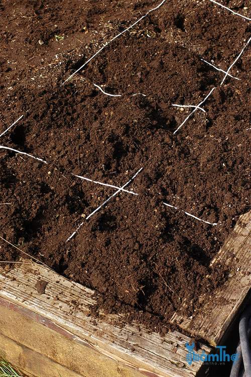 Hỗn hợp đá vermiculite, rêu than bùn và phân trộn để trồng - kythuatcanhtac.com