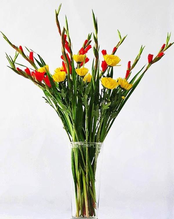 Cách cắm hoa lay ơn để bàn thờ đẹp và tươi lâu ngày Tết - 5 - kythuatcanhtac.com