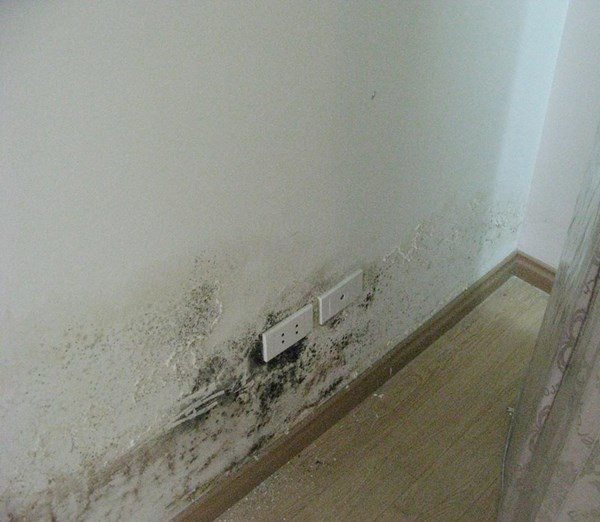Cuối năm dọn nhà cứ dùng những thứ này lau, tường bẩn mấy cũng sạch sau 5 phút - 2 - kythuatcanhtac.com