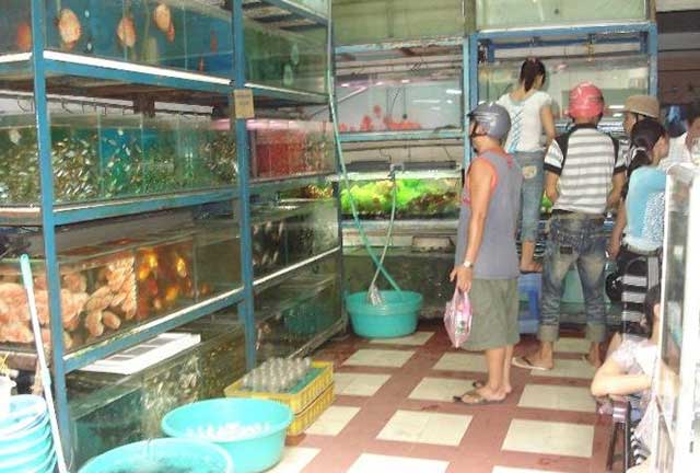 Cửa hàng cá cảnh gần đây 2 - kythuatcanhtac.com
