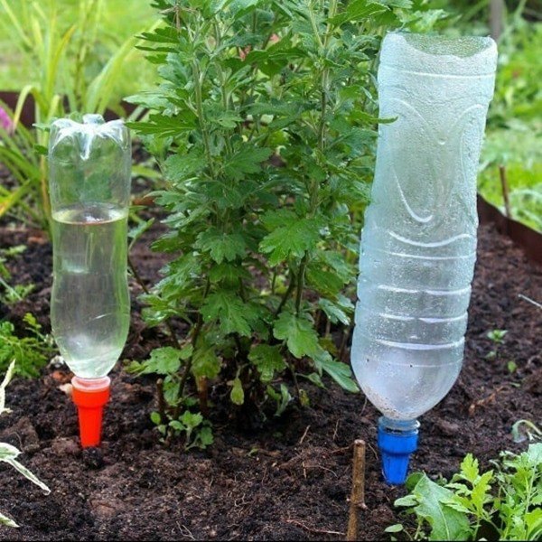 Đừng dùng nước máy tưới cho cây, thay bằng những loại nước này tốt hơn 10 lần - 3 - kythuatcanhtac.com