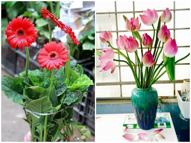 Cúng Rằm chọn đúng 5 loại hoa này, tiền tài tíu tít, buôn gì đắt nấy - kythuatcanhtac.com