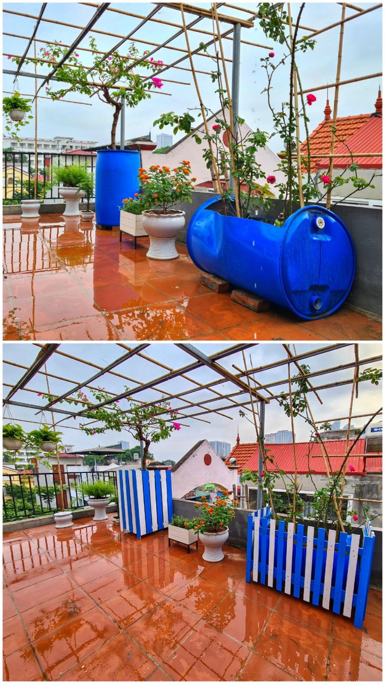 Cải tạo sân thượng 70m2 làm vườn, gia đình Hà Nội có góc sống ảo đẹp, rau ăn không xuể - 7 - kythuatcanhtac.com