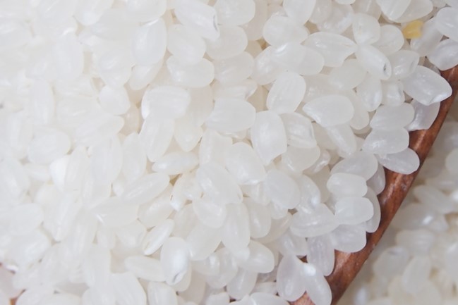 japonica-rice-is-the-best-short-grain-rice - kythuatcanhtac.com