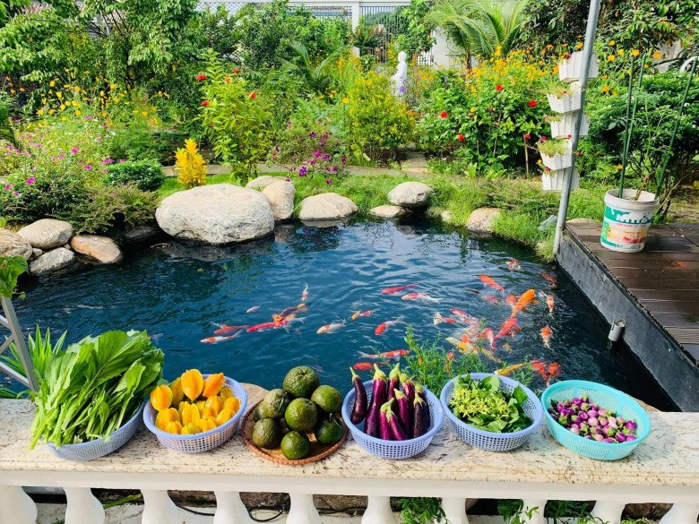 Mẹ đảm Đồng Nai được chồng tặng nhà vườn 720m2, đẹp như khu du lịch - 10 - kythuatcanhtac.com