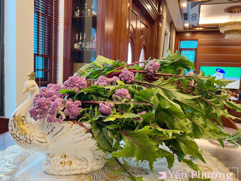 Mẹ bốn con Quảng Ninh làm vườn rộng 300m2, cắm hoa bằng rau củ độc lạ, đẹp như hoa tươi - 16 - kythuatcanhtac.com