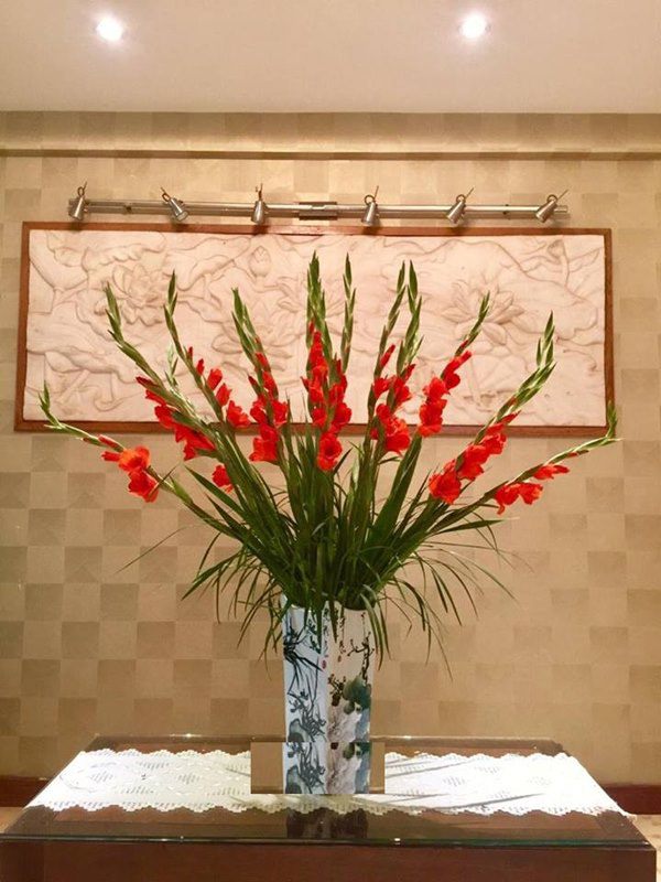 Cách cắm hoa lay ơn sang trọng trong phòng khách, nở đẹp, tươi lâu suốt chục ngày Tết - 2 - kythuatcanhtac.com