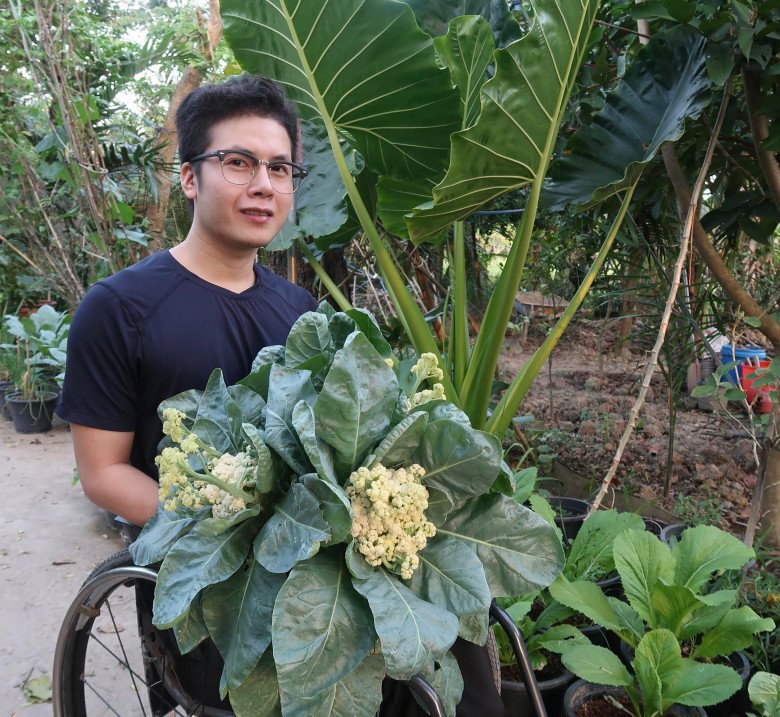 Chàng trai đi xe lăn chăm vườn 60m2, gia đình không cần mua rau, còn dư mang cho hàng xóm - 1 - kythuatcanhtac.com