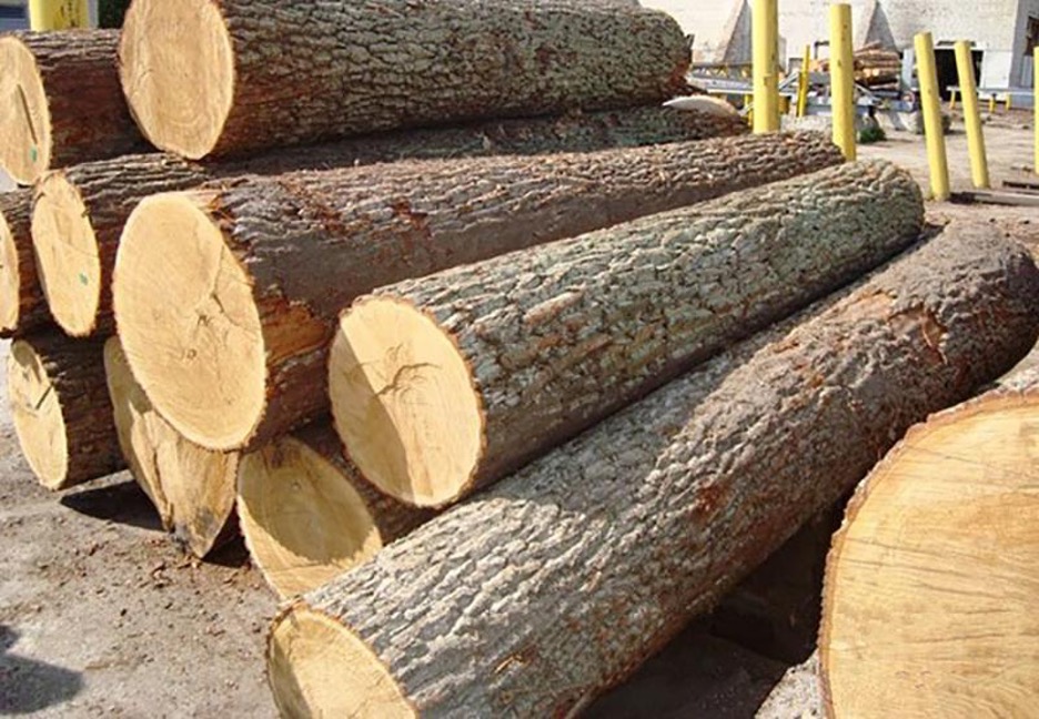 Với ưu điểm gỗ chắc, gỗ Gáo Vàng được ưa chuộng để làm gỗ nội thất - kythuatcanhtac.com