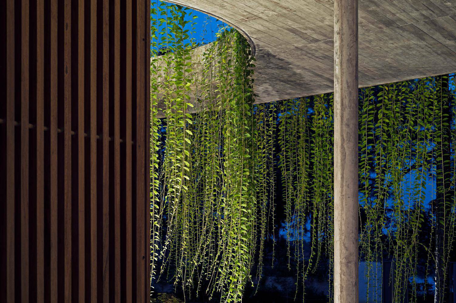 Biệt thự dùng cây xanh làm mái và hiên khiến báo nước ngoài hết lời khen ngợi - 19 - kythuatcanhtac.com